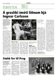 Síða 29
