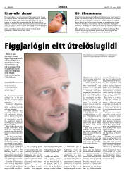 Síða 6