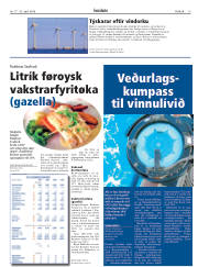 Síða 19