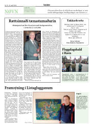 Síða 17