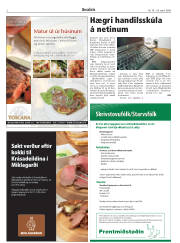 Síða 2