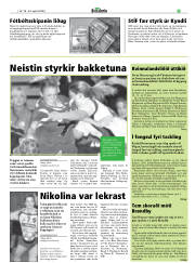 Síða 29