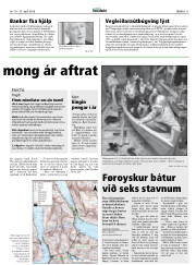 Síða 11
