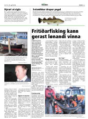 Síða 25