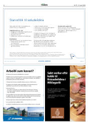 Síða 32