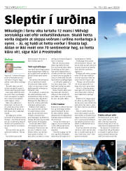 Síða 12