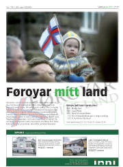 Síða 17