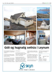 Síða 19