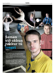 Síða 17