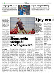 Síða 20