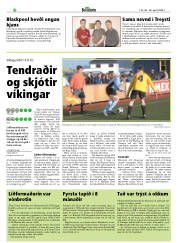 Síða 22