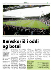 Síða 25