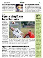 Síða 17