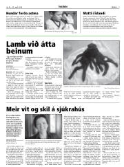 Síða 9