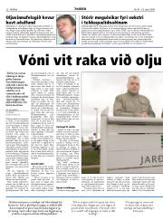 Síða 20