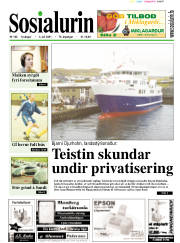Síða 1