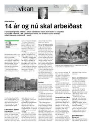 Síða 17