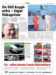 Síða 2