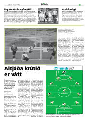 Síða 17