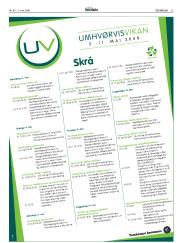 Síða 33