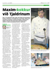 Síða 15