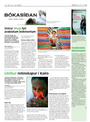 Síða 19