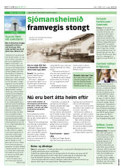 Síða 20