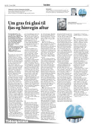 Síða 13