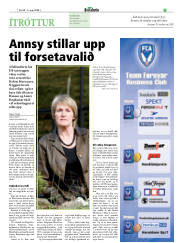 Síða 17