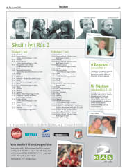 Síða 43