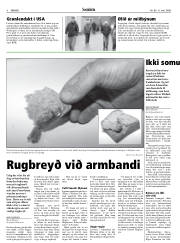 Síða 8