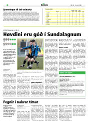 Síða 20