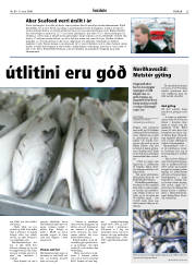 Síða 23