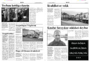 Síða 3