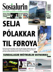 Síða 1