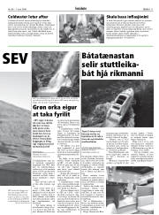Síða 11