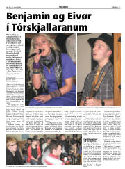 Síða 17