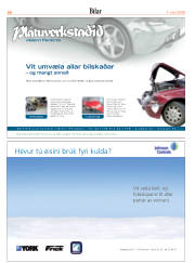 Síða 20