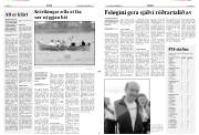 Síða 11