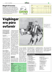 Síða 19