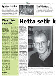 Síða 20