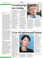 Síða 25