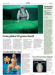Síða 29