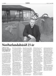 Síða 38