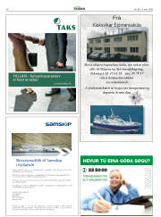 Síða 30