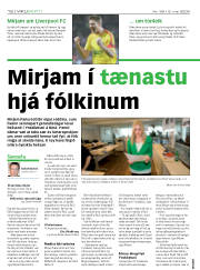 Síða 12