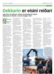 Síða 17