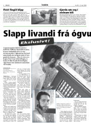 Síða 8