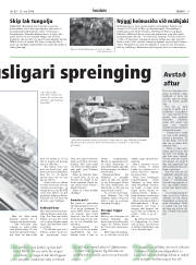 Síða 9