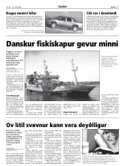 Síða 11